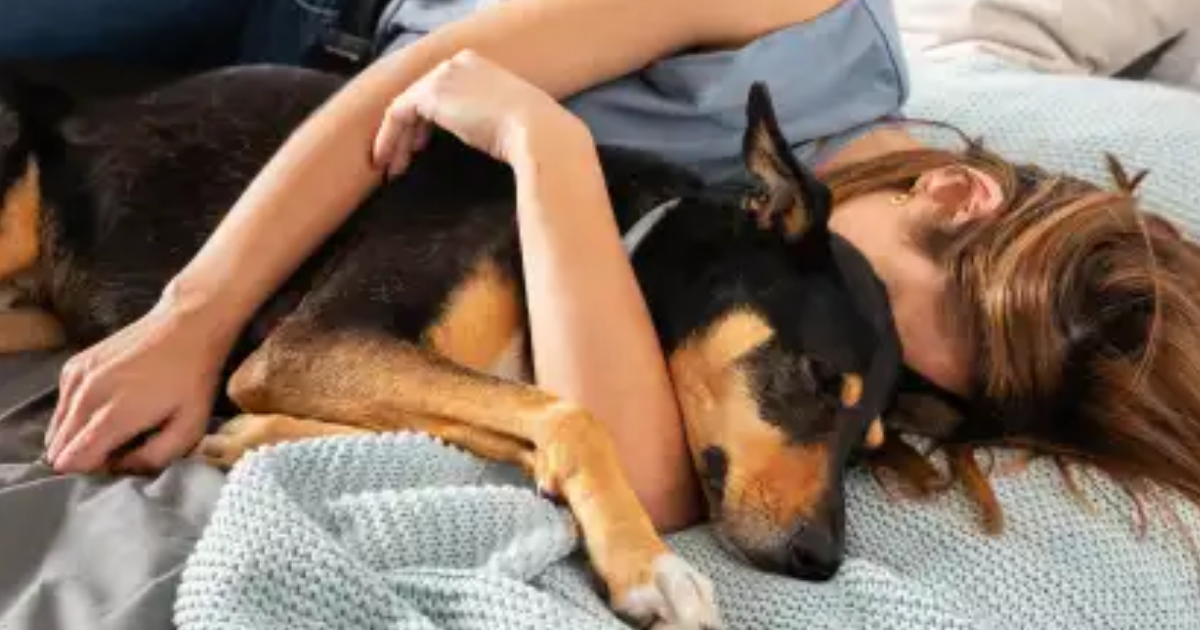 Essas São As Consequências De Dormir Com Seu C...Ver mais