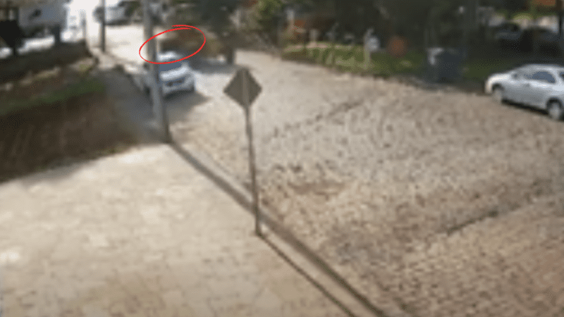 Pneu De Caminhão Acaba Estourando E Causa D3struição E Uma Pessoa Fica… Ver Mais