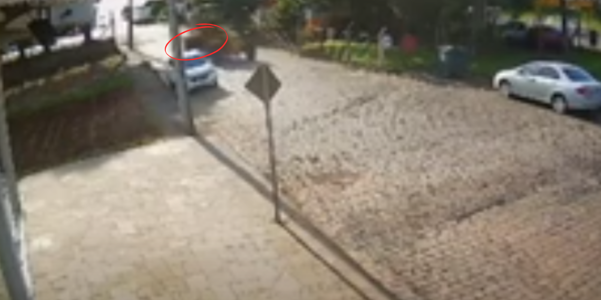 Pneu De Caminhão Acaba Estourando E Causa D3struição E Uma Pessoa Fica… Ver Mais